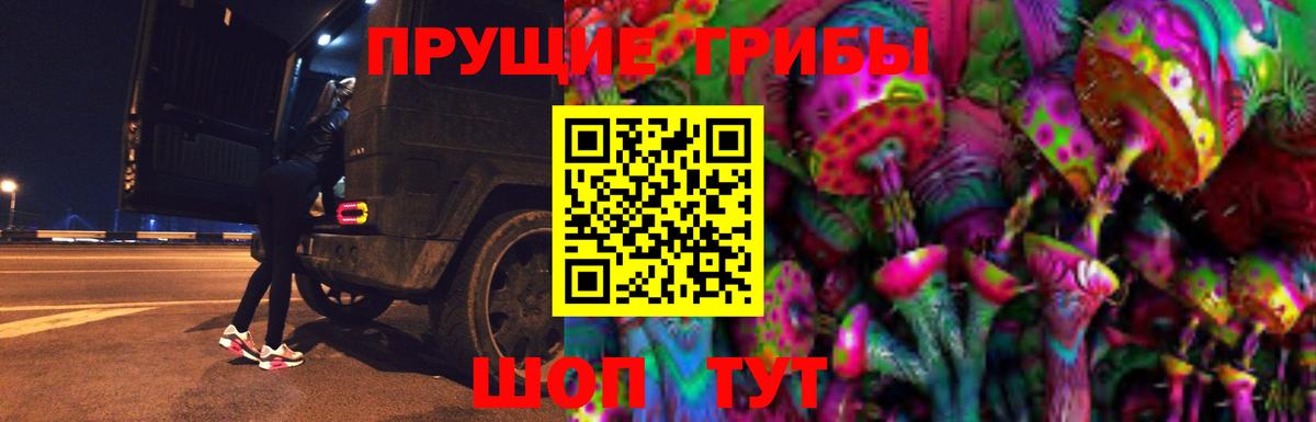 Орёл  Псилоцибиновые грибы GOLDEN TEACHER  Вход с VPN 